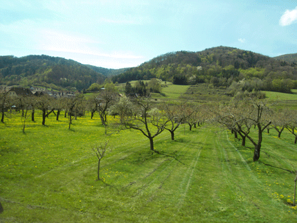 wachau